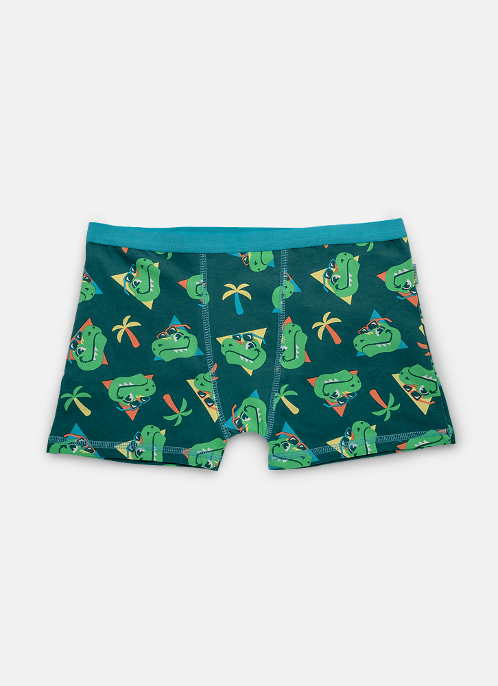 Cueca Boxer Algodão Menino Teen Dino Miami