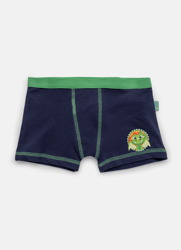 Cueca Boxer Algodão Menino Dragão Camping