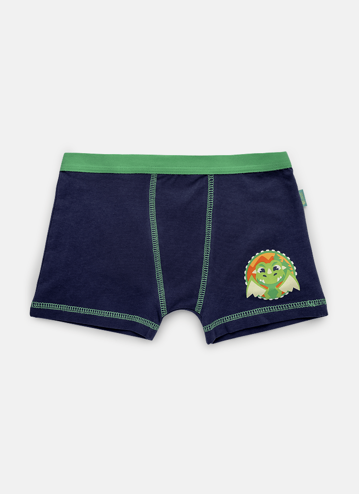 Cueca Boxer Algodão Menino Teen Dragão Camping