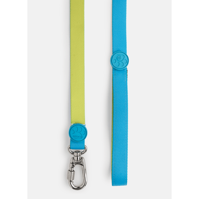 Guia para Pets Color Block